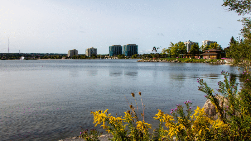 Pourquoi Louer un Accès Privé à la Rive pour Vos Activités Nautiques ?